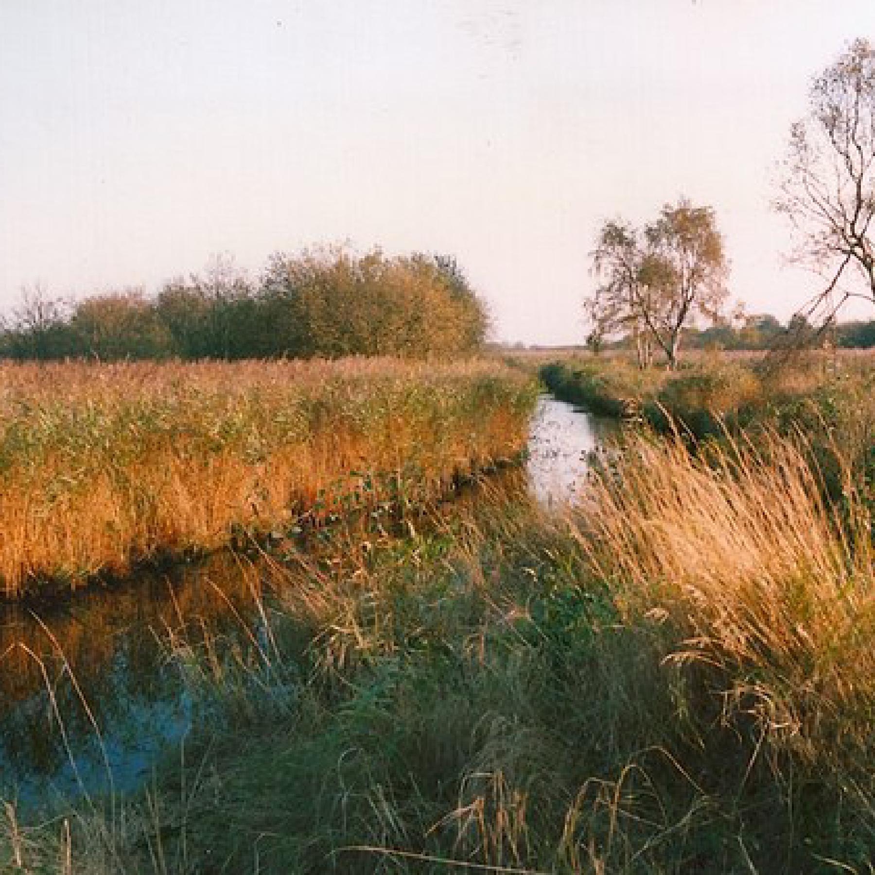 Gebiedsbiografie van het Noordzeekanaalgebied