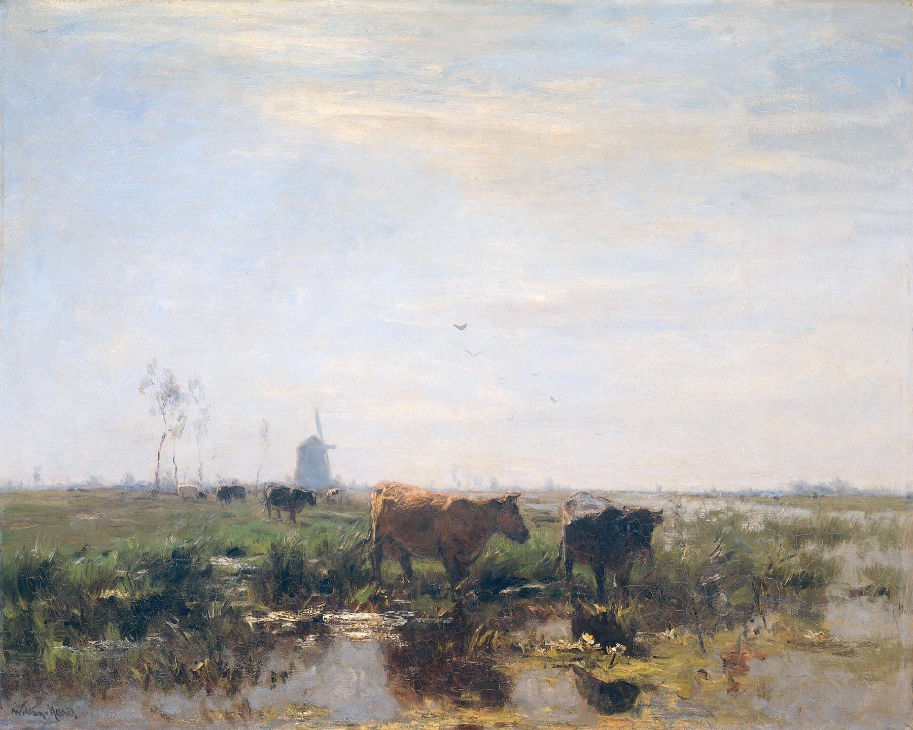 Gebiedsbiografie van het Noordzeekanaalgebied